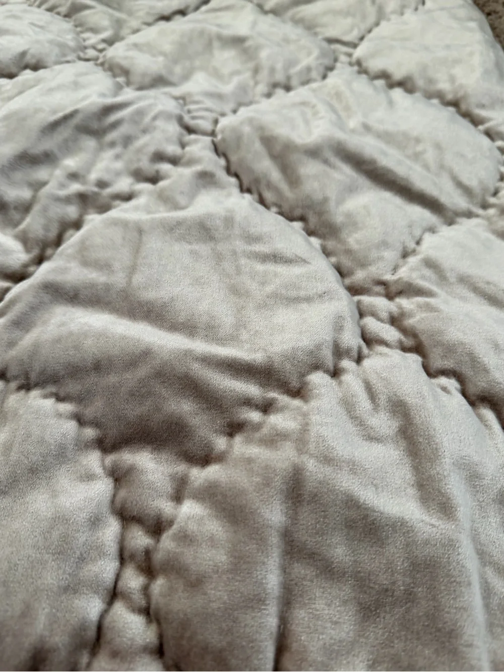 New anthropologie Claire cotton velvet satin euro sham champagne beige 26 x 26